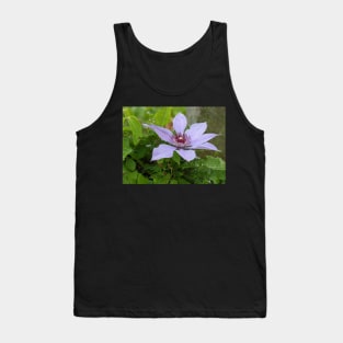 Lavender Flower 1 Tank Top